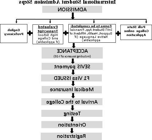 international-student-admission-flow-chart